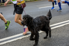 1318_DSC2724_matena-moments_stadtlauf