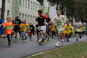 2617_DSC00466_macuti_stadtlauf