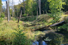 wanderung_20km_eberswalder_stadtlauf_01