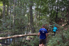 wanderung_20km_eberswalder_stadtlauf_03