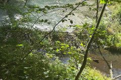 wanderung_20km_eberswalder_stadtlauf_11