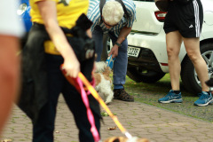 wanderung_hunde_eberswalder_stadtlauf_03