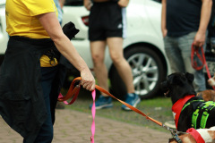 wanderung_hunde_eberswalder_stadtlauf_05
