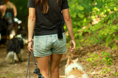 wanderung_hunde_eberswalder_stadtlauf_101