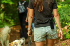 Hundewanderung 102