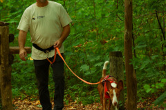 Hundewanderung 108