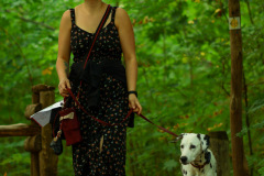 wanderung_hunde_eberswalder_stadtlauf_109