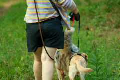 Hundewanderung 011