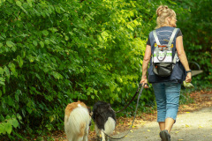 wanderung_hunde_eberswalder_stadtlauf_114