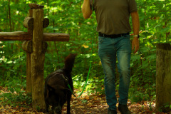 wanderung_hunde_eberswalder_stadtlauf_116