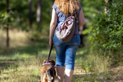 wanderung_hunde_eberswalder_stadtlauf_131