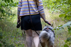 wanderung_hunde_eberswalder_stadtlauf_132