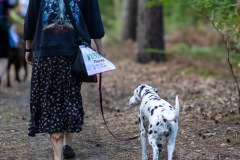 wanderung_hunde_eberswalder_stadtlauf_134