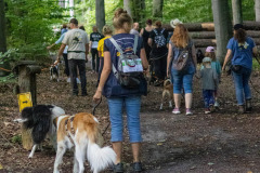 wanderung_hunde_eberswalder_stadtlauf_135