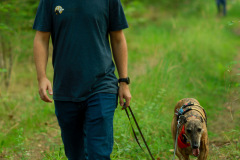 wanderung_hunde_eberswalder_stadtlauf_16