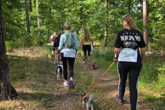 wanderung_hunde_eberswalder_stadtlauf_18