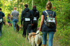 wanderung_hunde_eberswalder_stadtlauf_20