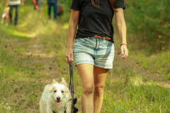 wanderung_hunde_eberswalder_stadtlauf_24