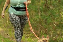 Hundewanderung 028