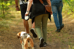 Hundewanderung 049