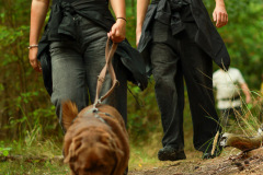 wanderung_hunde_eberswalder_stadtlauf_55