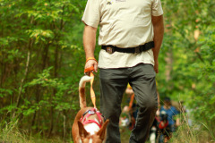 wanderung_hunde_eberswalder_stadtlauf_57