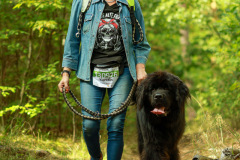 wanderung_hunde_eberswalder_stadtlauf_63