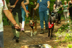 wanderung_hunde_eberswalder_stadtlauf_65