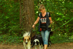 wanderung_hunde_eberswalder_stadtlauf_67