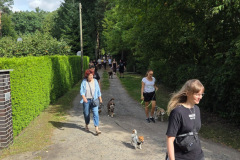 wanderung_hunde_eberswalder_stadtlauf_72
