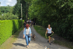 Hundewanderung 073
