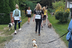 wanderung_hunde_eberswalder_stadtlauf_75
