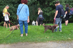 wanderung_hunde_eberswalder_stadtlauf_77