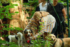 wanderung_hunde_eberswalder_stadtlauf_78
