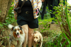 Hundewanderung 079