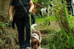 wanderung_hunde_eberswalder_stadtlauf_81