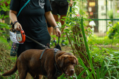 wanderung_hunde_eberswalder_stadtlauf_84