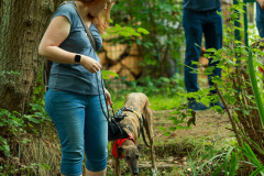 wanderung_hunde_eberswalder_stadtlauf_88