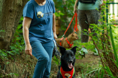 wanderung_hunde_eberswalder_stadtlauf_89