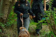 wanderung_hunde_eberswalder_stadtlauf_92