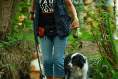 wanderung_hunde_eberswalder_stadtlauf_95