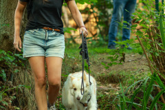 wanderung_hunde_eberswalder_stadtlauf_96