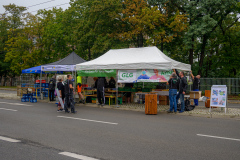 129DSC_2367_matena-moments_stadtlauf